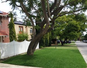 Bore water lawn Nedlands