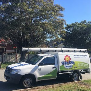 Nedlands bore and pump repairs