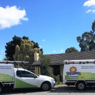 Retic service Thornlie